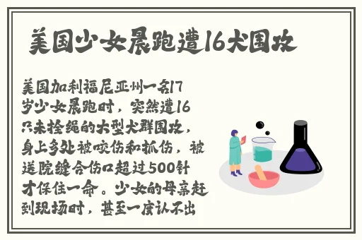 n号房在线观看